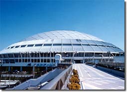 �i�S���h�[��